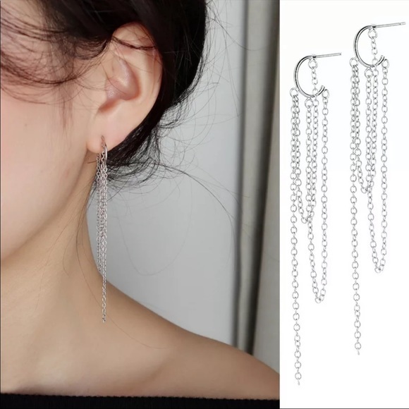 Chain Tassel Hoop Earrings - Picture 1 of 4
